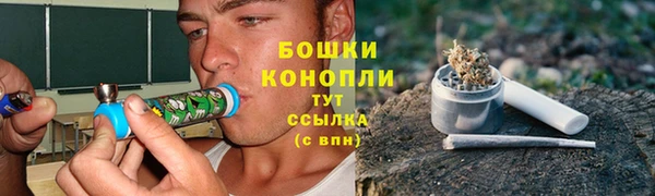 мет Новозыбков
