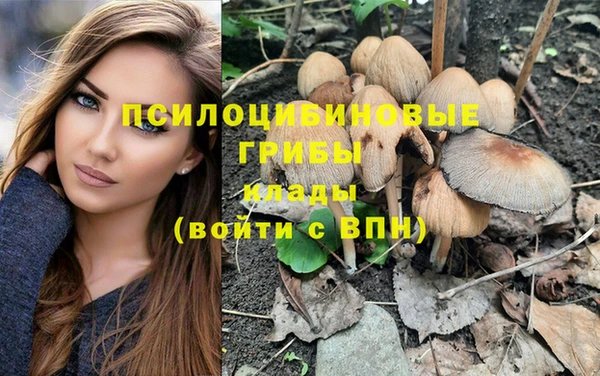 бутират Мамадыш