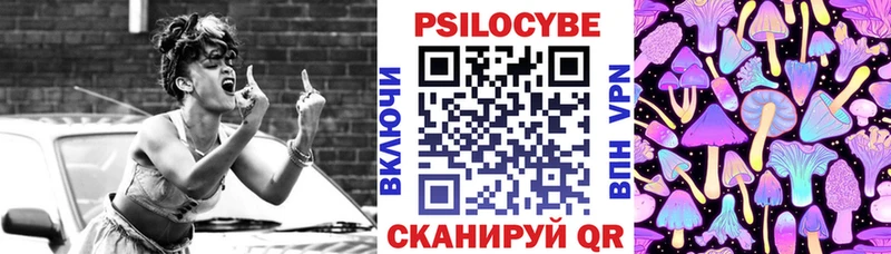 Псилоцибиновые грибы Cubensis  Партизанск 