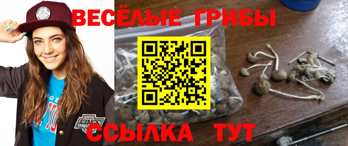 Метамфетамин  Вход с VPN  Хэш  МЕФ  APVP  ГАШИШ  Партизанск  Конопля  Мефедрон 