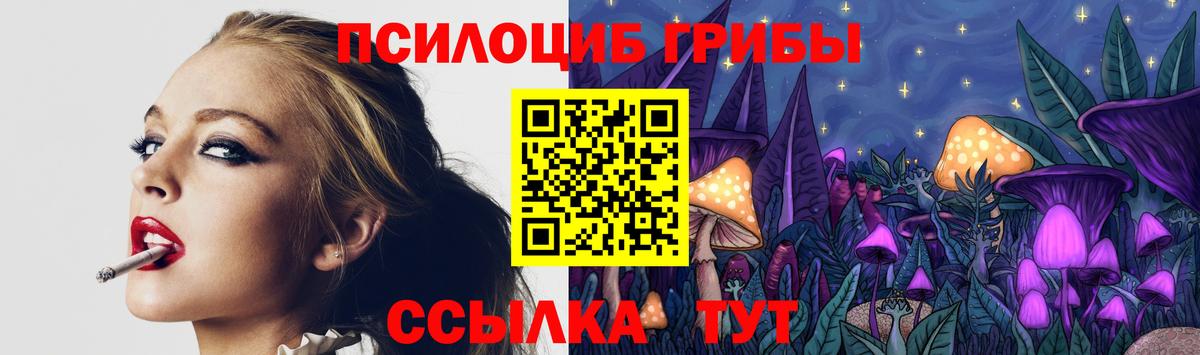 купить наркотик  Вход с VPN  Партизанск  Псилоцибиновые грибы GOLDEN TEACHER  Псилоцибиновые грибы MAGIC MUSHROOMS 