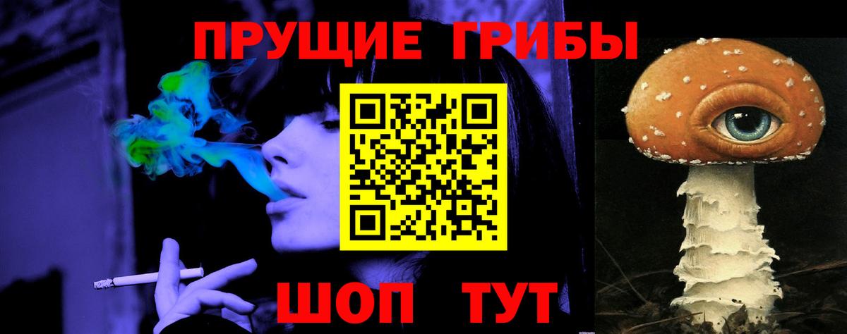 Галлюциногенные грибы Psilocybine cubensis Партизанск